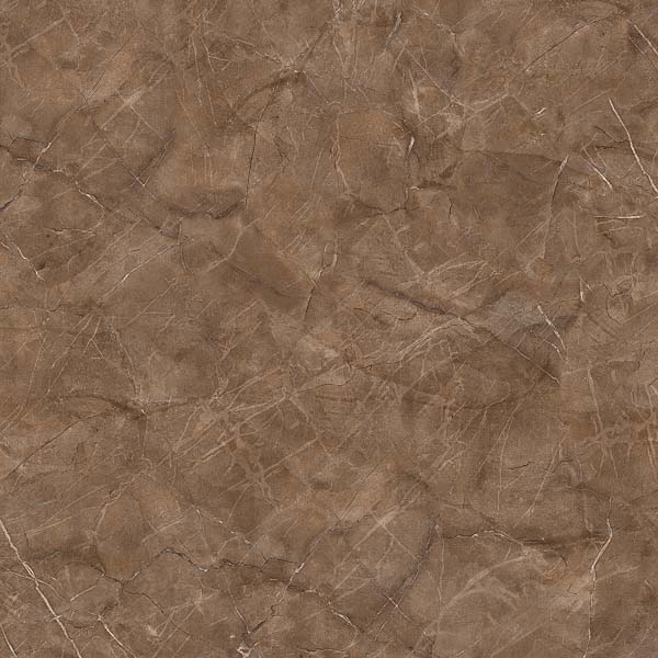 CHAMPION BROWN
