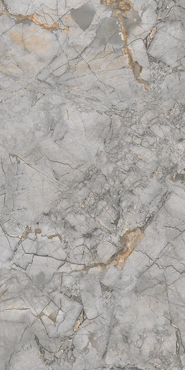 RAIN FOREST GRIS