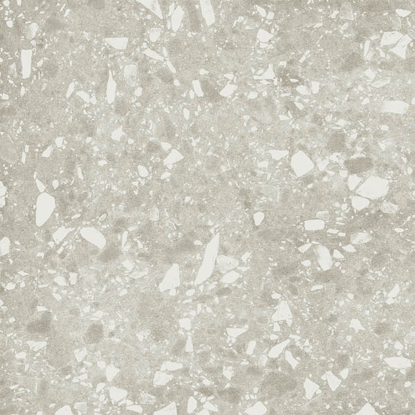 OYSTER ASH