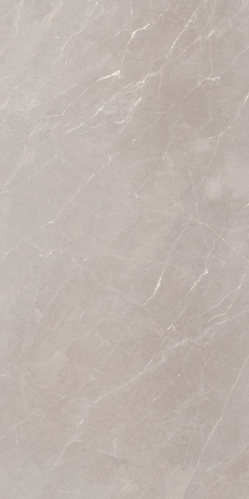 IMPRESSIA GREY