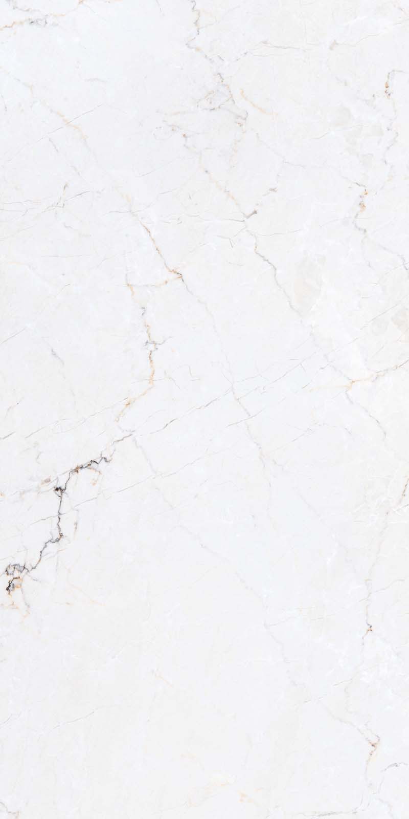 LEROX WHITE