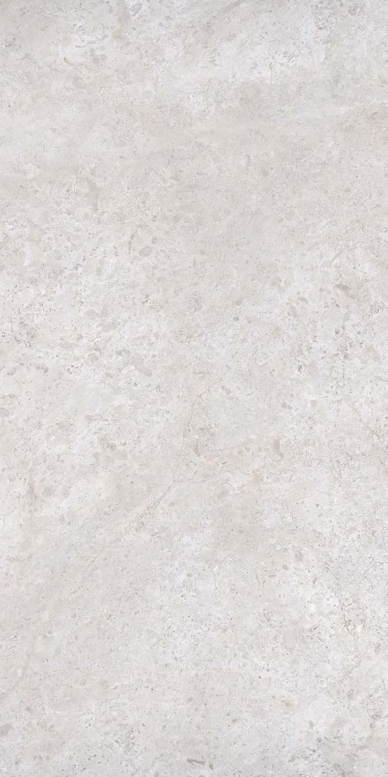 OLIVE GRAY