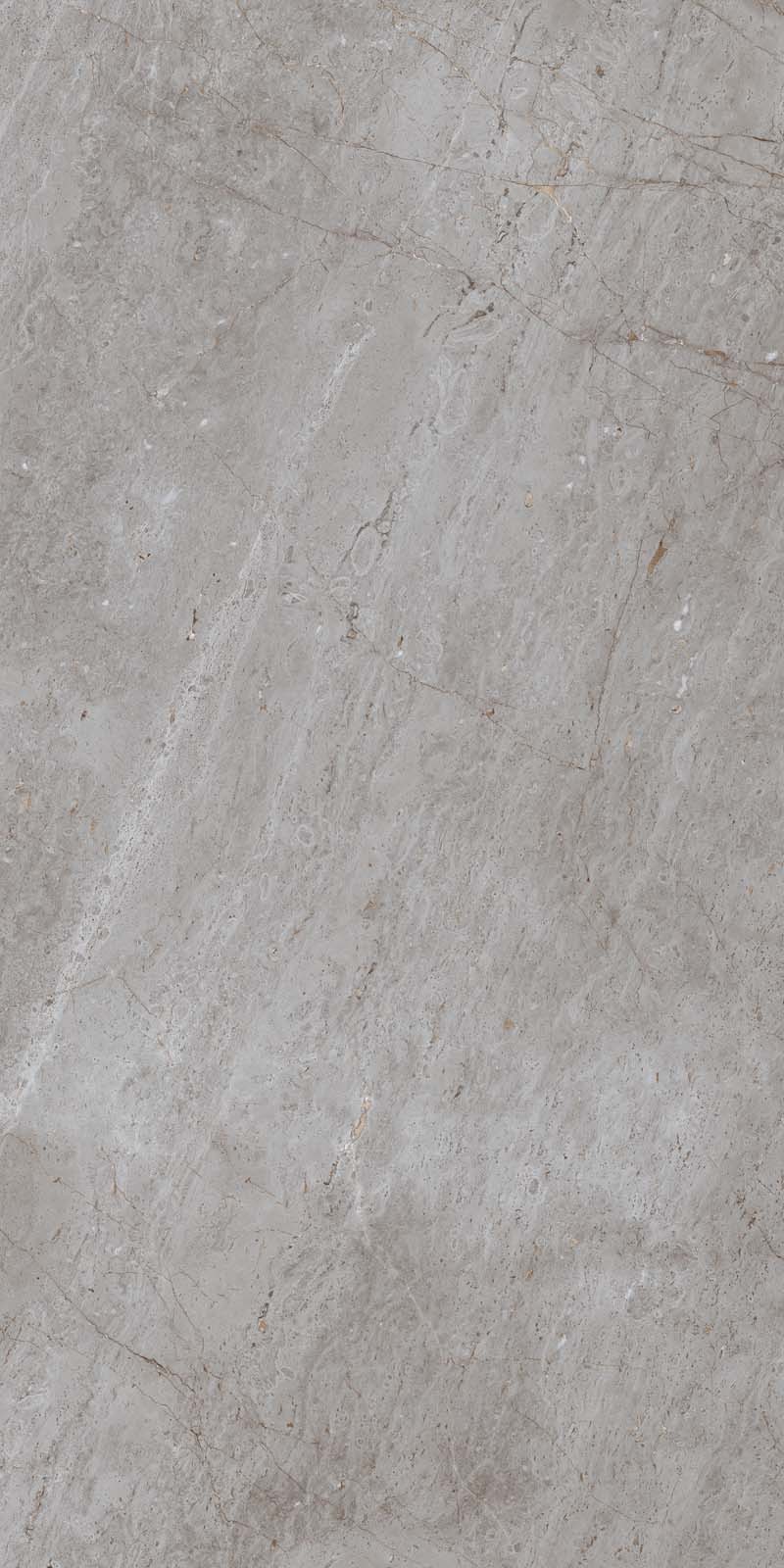 ROCK DORLIN GREY