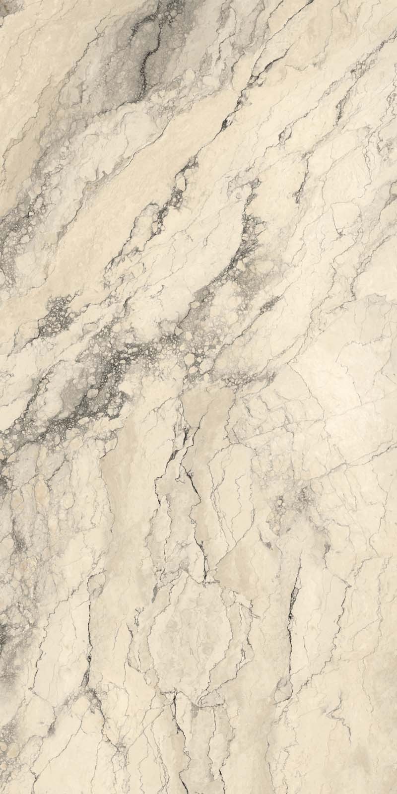 ROCK PENGUIN BEIGE