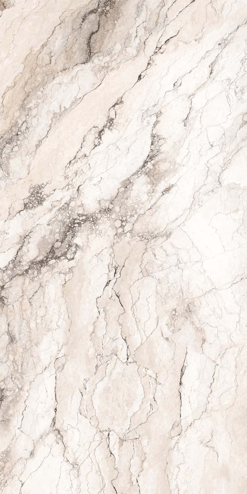 ROCK PENGUIN WHITE