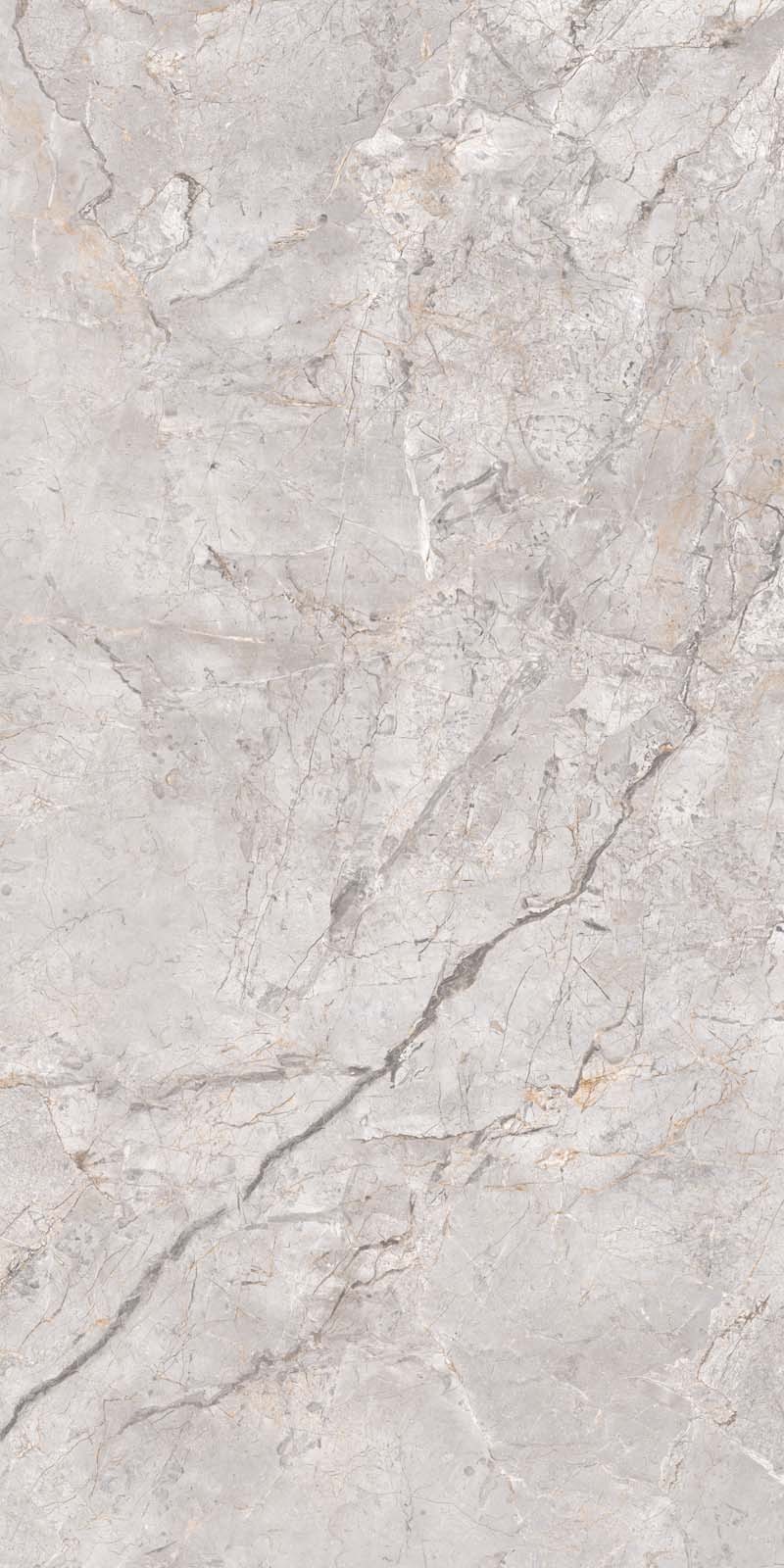 ROCK RENOVA SILVER