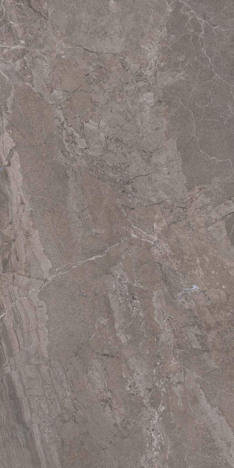 TURKISH FOSSIL