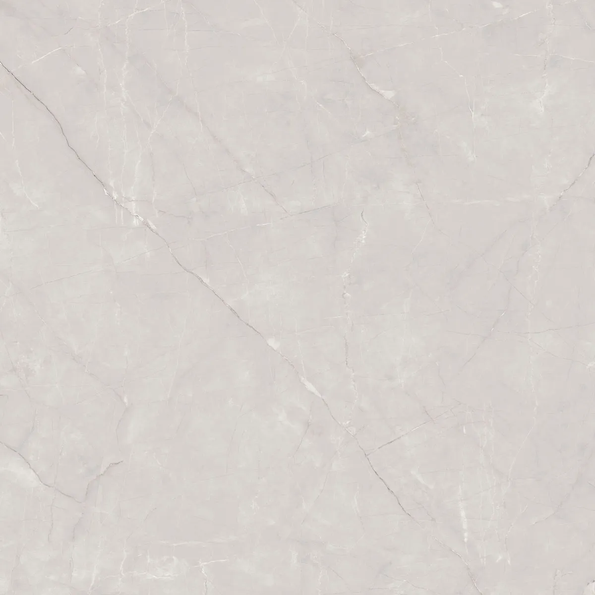 BOSCO GREY 01