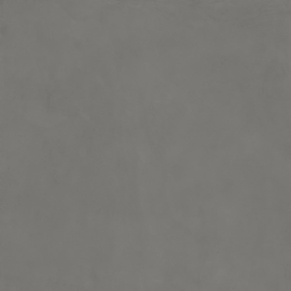  CARBON GRIS