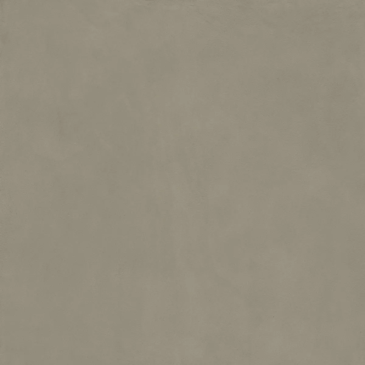  CARBON OLIVE