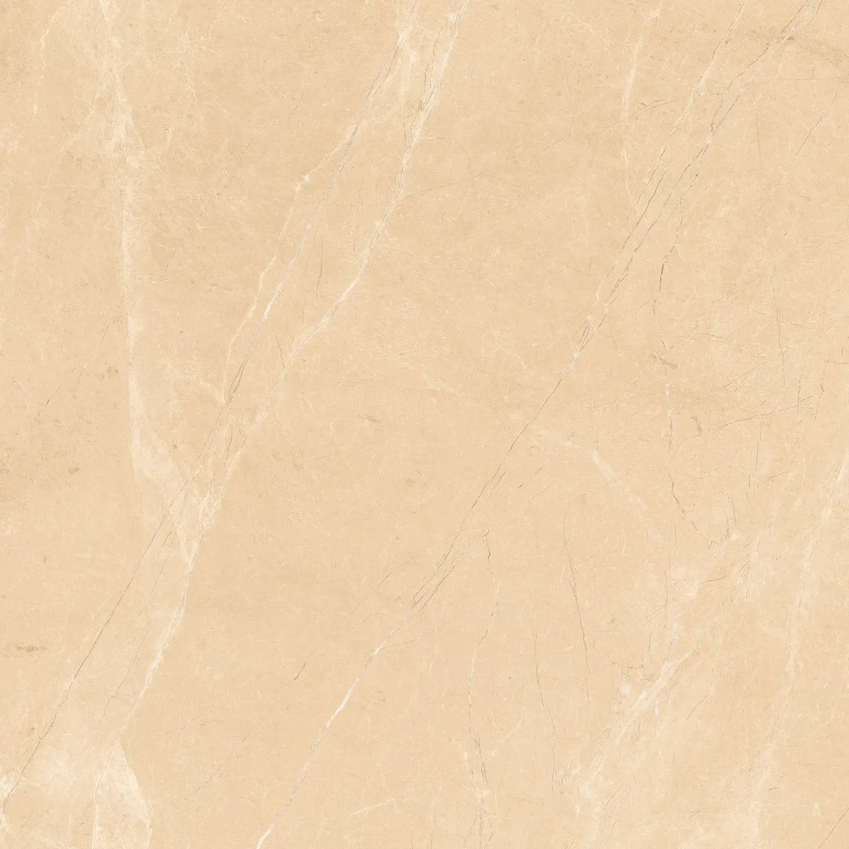 COREL BEIGE
