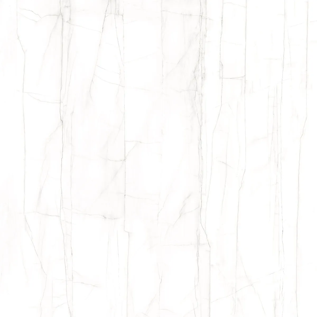 SPIDER GREY