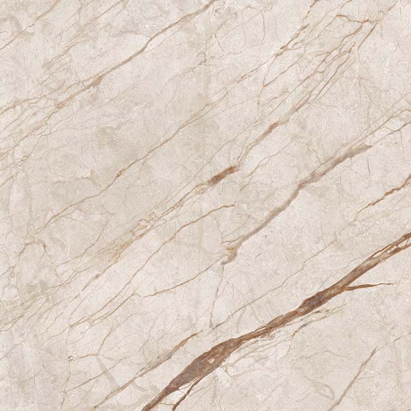 ANATOMY BEIGE