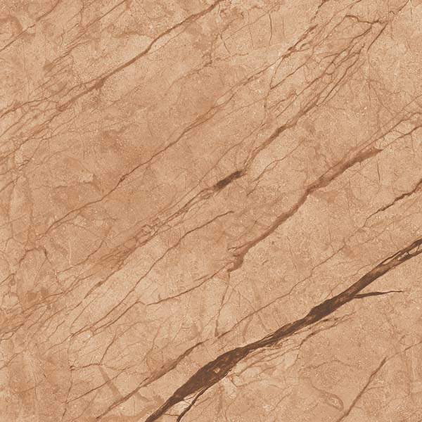 ANATOMY BROWN