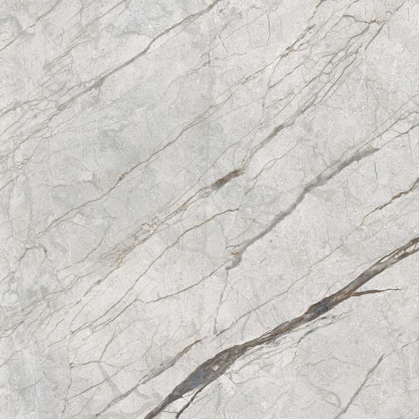 ANATOMY GREY